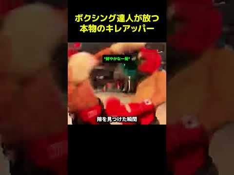 ボクシングの達人が見せる本物のキレキレアッパーカット