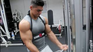 2016 - Raw Biceps Workout Andrei Deiu&#39   - 