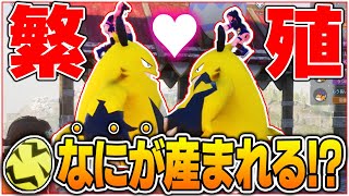 裏技で手に入れたゾーイ&エレパンダを繁殖したらヤバいことになったwww【パルワールド Palworld】