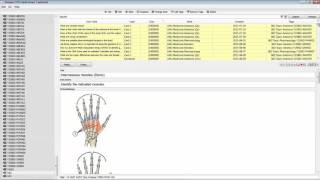 S04 - Efficient Anki Study: 02 Fixing common issues with tags (eg, orphans, mixed case, misspelling)