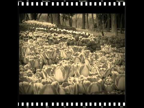 Kalam Mian Mohammad Baksh sung by Hans Raj Hans