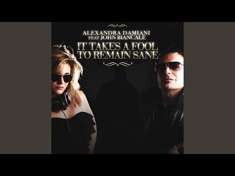 IT TAKES A FOOL TO REMAIN SANE (Da Brozz Remix)