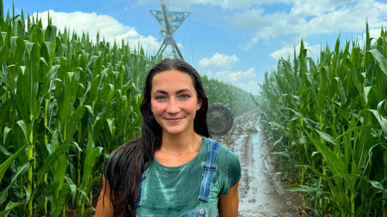 My Farm’s Biggest Secret Expense