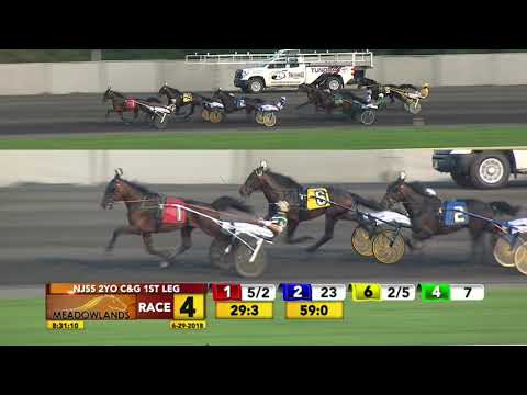 NJSS 1st Leg 2YO Colts & Geldings Race 4 - June 29, 2018