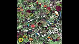 Oozing Wound - Diver (2016)