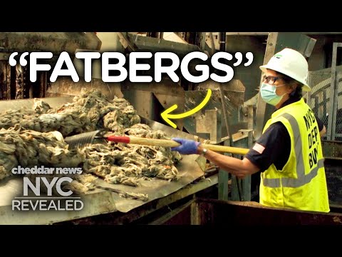 How NYC’s Sewage System Treats 1.3 Billion Gallons Of Wastewater  - NYC Revealed