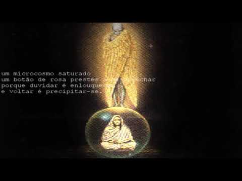 a grande canoa do pequeno iaô