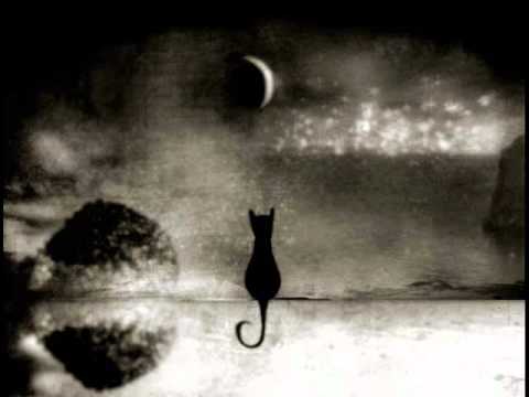 encephalopaticys - azara