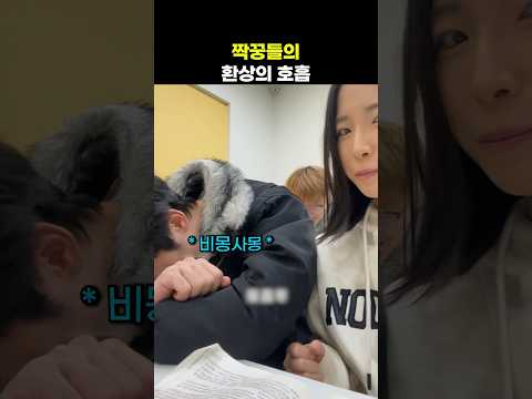 짝꿍들의 환상의 호흡