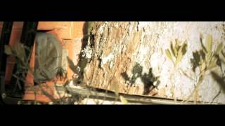 Bloodred Hourglass - Above All