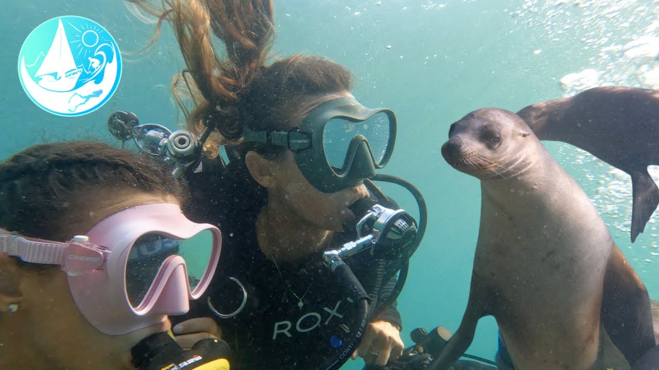 Sea lions in Mexico and our final Sail | Ep 377