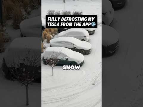 My Tesla’s Remote Defrosting Saves So Much Time! ❄️📱