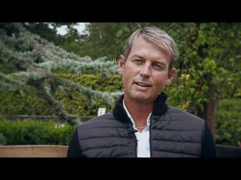 A Tribute to Valegro