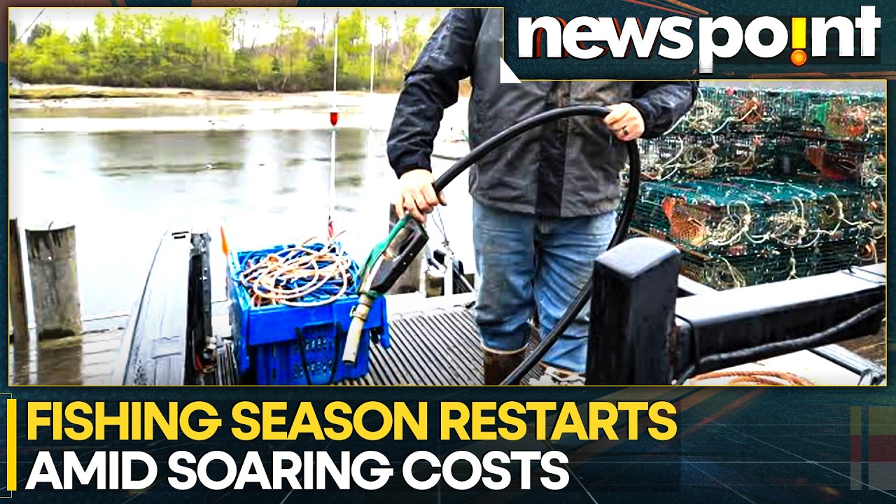 India's Fishing Season Returns, But Seafood Prices Stay High | WION Newspoint