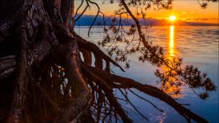 Max Elto - Shadow of the Sun (Michael Brun Remix)