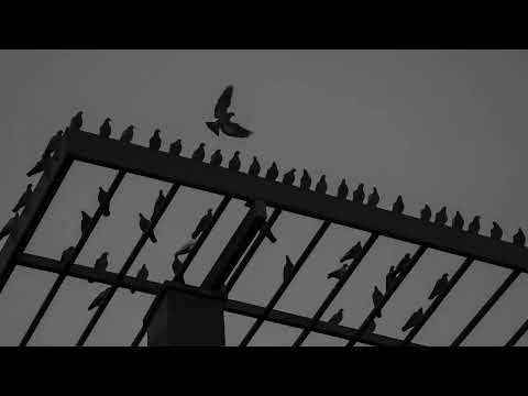 Bad Art - Aeg On Raha (feat. Ronan Ild)