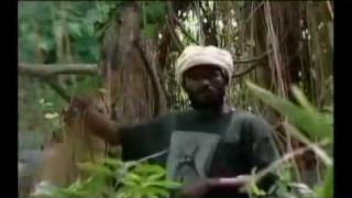 Download lagu Chezidek - Leave The Trees mp3 Download lagu Chezidek - Leave The Trees mp3