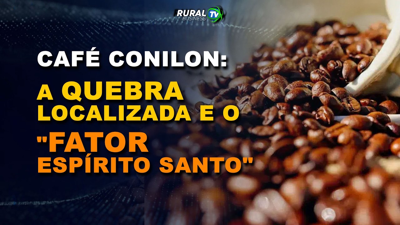 CAFÉ CONILON: A QUEBRA LOCALIZADA E O "FATOR ESPÍRITO SANTO"