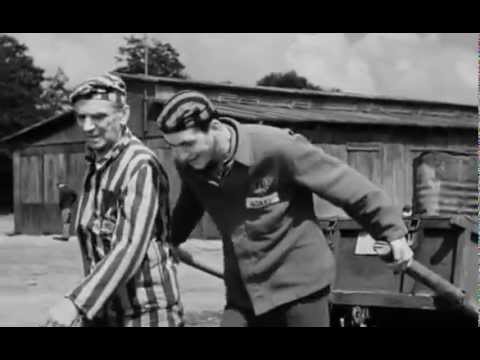 Трейлеры Боксер и смерть