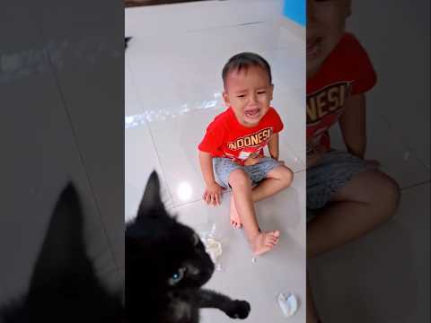 panik,,,kucing kaffa kaki nya patah😭 #fypシ゚viral #shorts