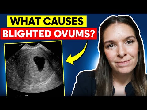What causes blighted ovum (anembryonic pregnancy)?