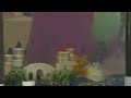 Barney Song If I Lived Under The Sea An Adventure In Make Believe