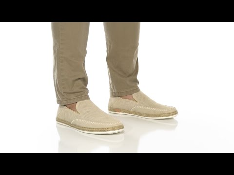Men's Steve Madden Caydenn | Zappos.com
