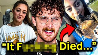 Was This Drama Worth an Apology?