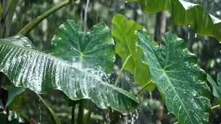 Download lagu ARIEF PUTRA FULL ALBUM TERBAIK 2025 | Obati Rinduku - Tak Sedalam Ini LAGU POP MELAYU TANPA IKLAN mp3 Download lagu ARIEF PUTRA FULL ALBUM TERBAIK 2025 | Obati Rinduku - Tak Sedalam Ini LAGU POP MELAYU TANPA IKLAN mp3