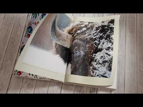 Poland. 1000 Years in the Heart of Europe