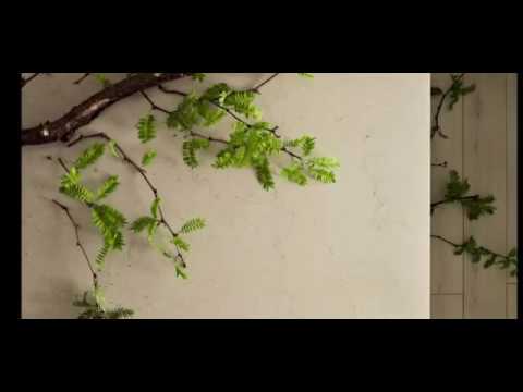 Caesarstone Dreamy Marfil 5220 by Caesarstone