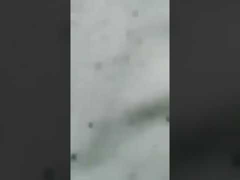 virall,....! sepasang pemuda mesum yg ketangkap warga langsung di nikahkan ditempat