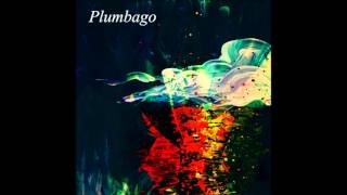 Plumbago - Comprendi