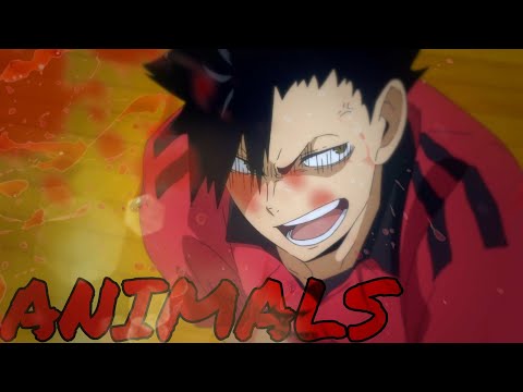 Tetsurou Kuroo [AMV] Animals