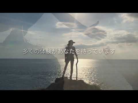 Herip - 旅と手助けがつながるサービス video thumbnail