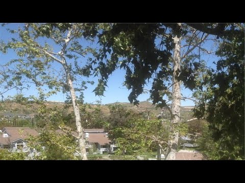 20305 Rue Crevier, Canyon Country, CA Presented by Judy Jensen.