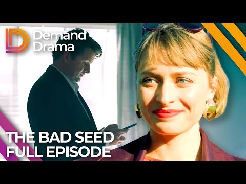 Simon's Personal Life Is CRUMBLING! | The Bad Seed | Full Episode S1E2 | Demand Drama