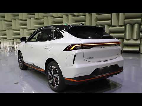 DONGFENG FORTHING FIRDAY ELECTRIC SUV