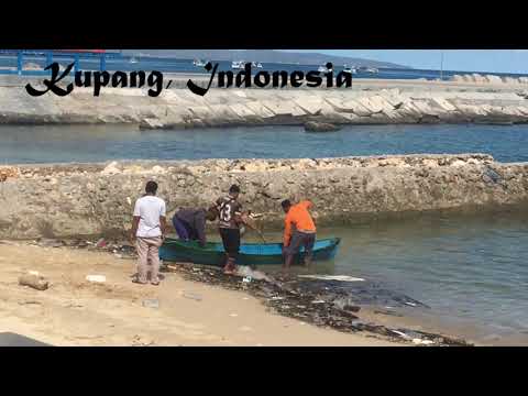 First Impressions- Shenemere in Kupang, Indonesia