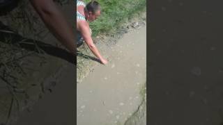 Ловля рыбки в мутной воде