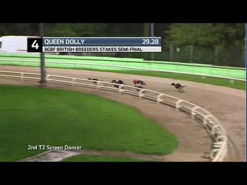 2020 BGBF STAKES - 1ST SEMI - T4 QUEEN DOLLY