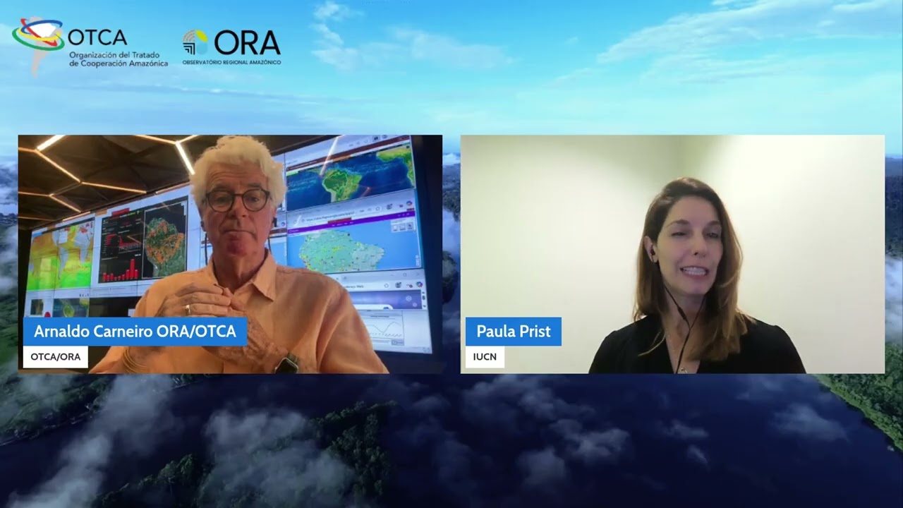 Webinário ORA com Paula Prist | OTCA