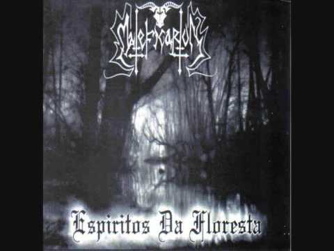 Maleficarum - Espiritos da Floresta