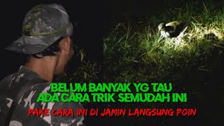 Download lagu cara mudah menangkap burung ruak ruak malam hari 'ott ruak ruak'terbaru mp3