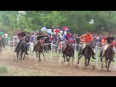 Akhir Kuda PADI A - 22 Mei 2016@Trek Airport