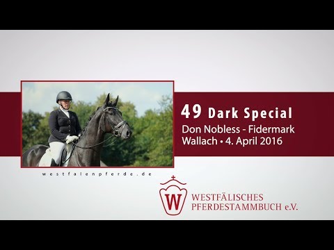 49 Dark Special  Wallach v. Don Nobless - Fidermark