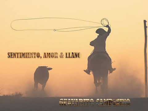 Guayabito Campesino / Alexis Acosta