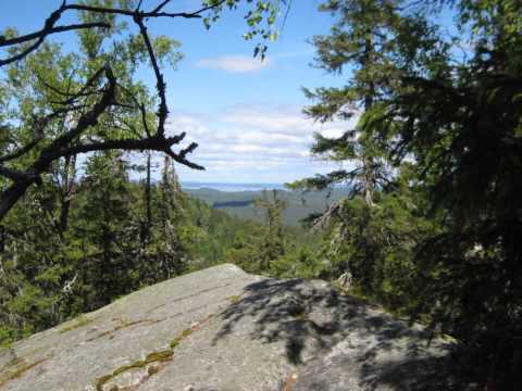 Viipurin Lauluveikot   Karjalan kunnailla