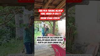 Download lagu Bi4ng k3r0k #viral mp3 Download lagu Bi4ng k3r0k #viral mp3