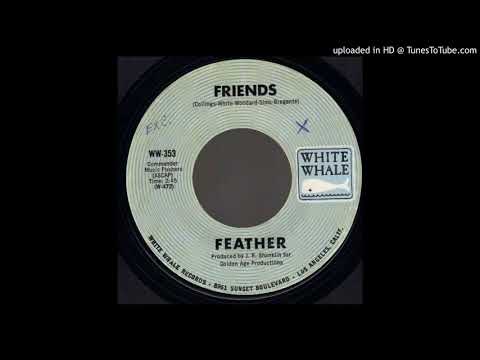 1970_467 - Feather - Friends - (45)